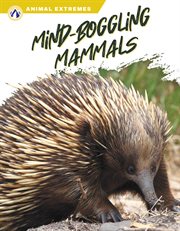 Mind-Boggling Mammals : Boggling Mammals cover image cdn