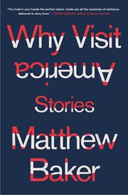 Why Visit America : Stories cover image cdn