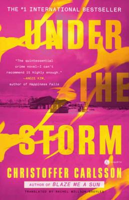 Under the storm cover image