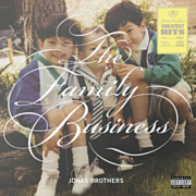 The family business cover image