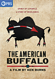 The American buffalo cover image cdn