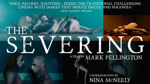 The Severing cover image cdn