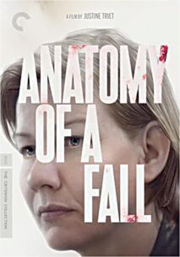 Anatomy of a fall Anatomie d'une chute cover image