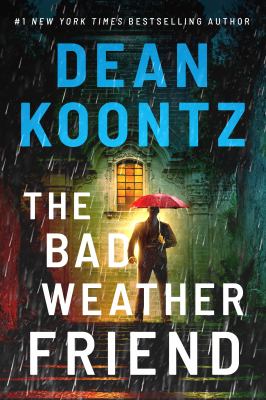 The bad weather friend cover image cdn