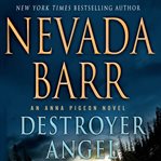 Destroyer angel cover image cdn