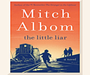 The little liar cover image
