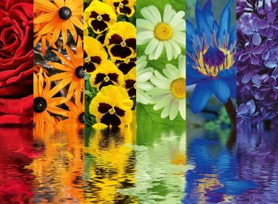 Floral reflections jigsaw puzzle cover image