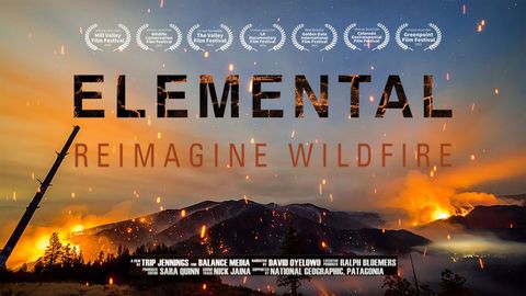 Elemental cover image cdn