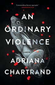 An Ordinary Violence cover image cdn