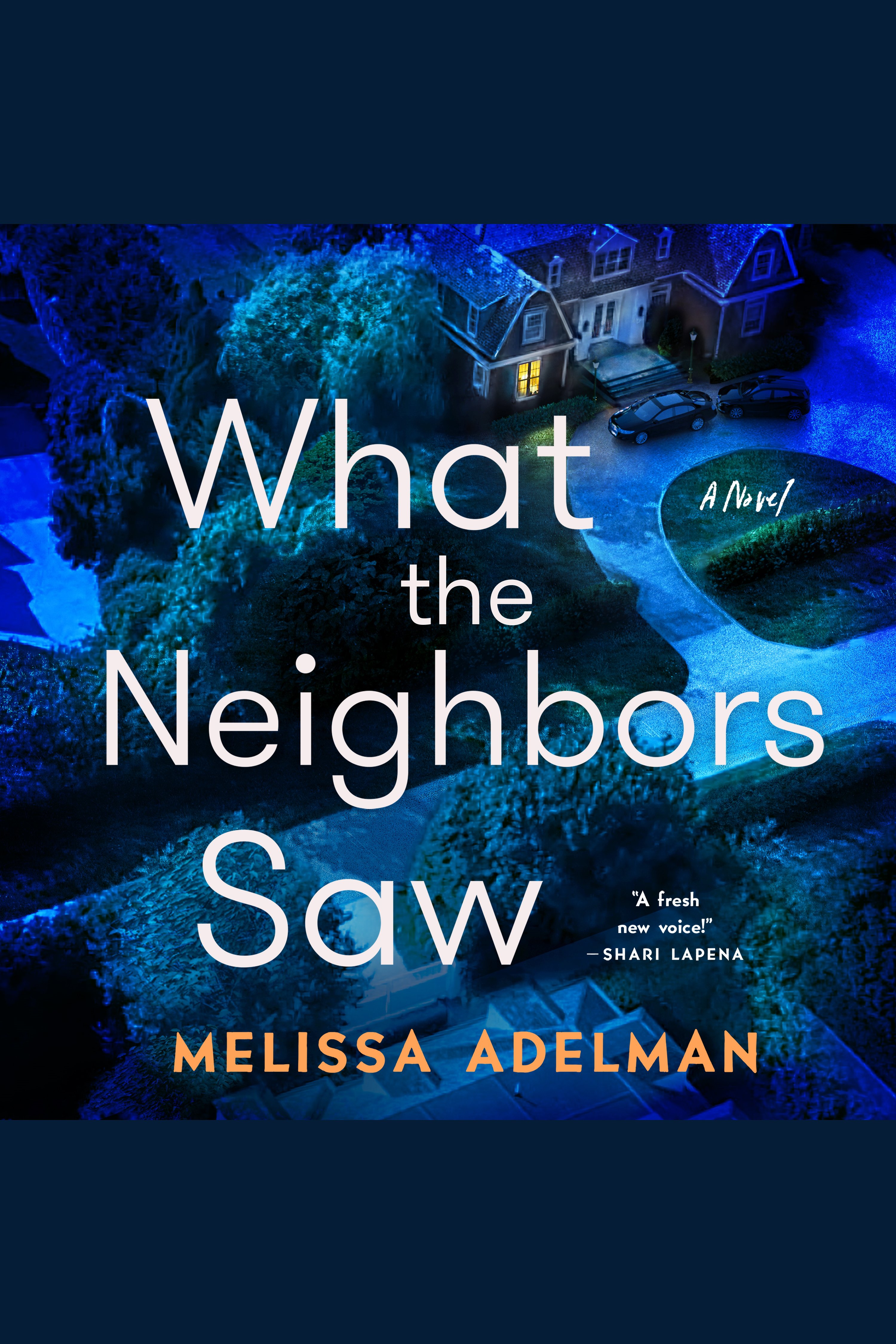 What the Neighbors Saw cover image cdn