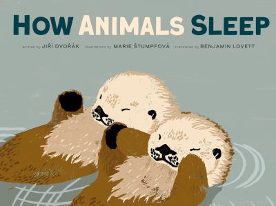 How animals sleep  cover image cdn