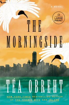 The morningside cover image