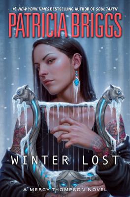 Winter Lost cover image