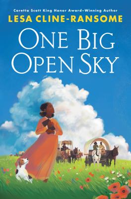 One big open sky cover image
