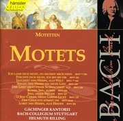 Bach : Motets cover image cdn