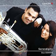 Serendipity cover image cdn