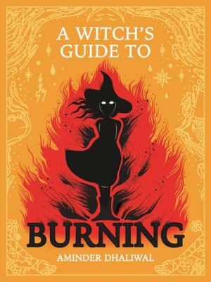 A witch's guide to burning cover image