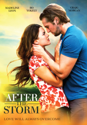 After the storm cover image cdn