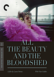 All the beauty and the bloodshed cover image