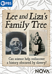 Lee and Liza's family tree cover image