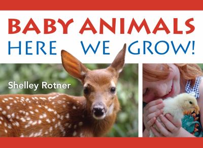 Baby animals here we grow! cover image