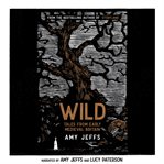Wild : Tales from Early Medieval Britain cover image cdn