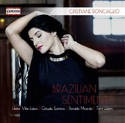 Brazilian Sentiments cover image cdn