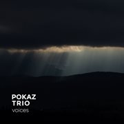 Voices cover image cdn