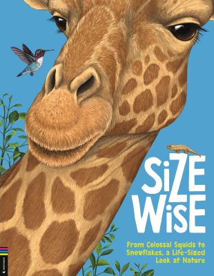 Size wise cover image