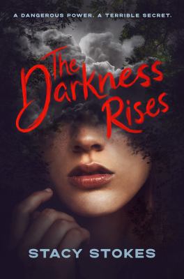 The darkness rises cover image
