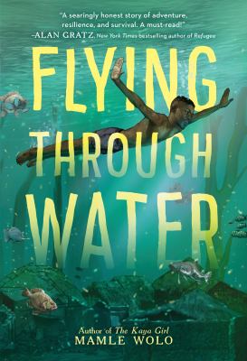 Flying through water cover image