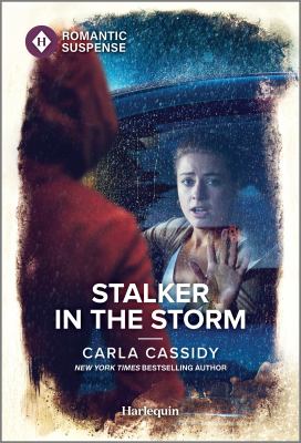 Stalker in the storm  cover image cdn