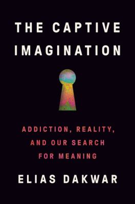 The Captive Imagination : Addiction, Reality, and Our Search for Meaning cover image