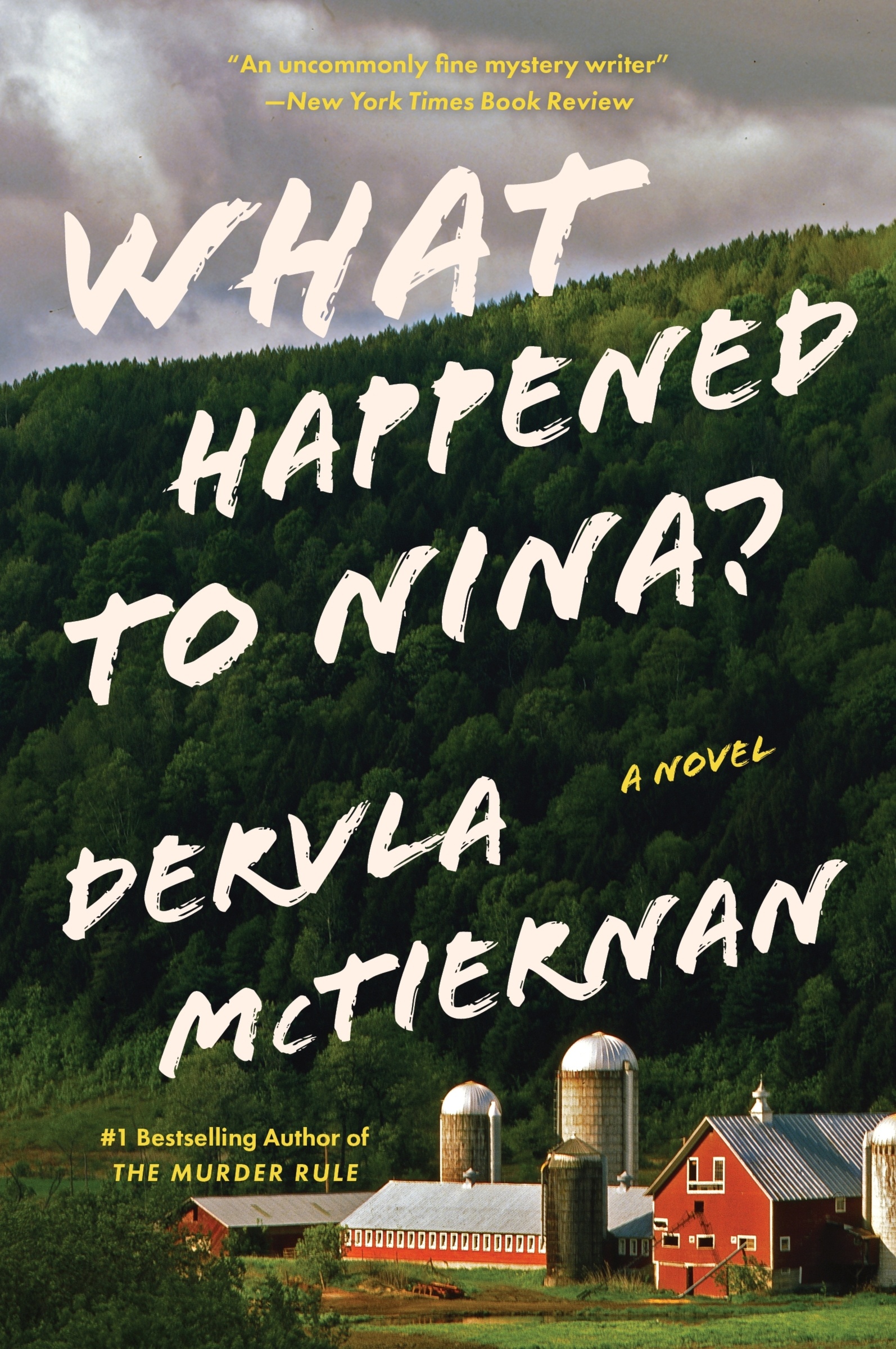 What Happened to Nina? A Thriller cover image cdn