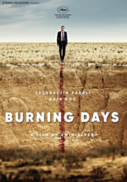 Burning days cover image