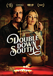 Double down south cover image