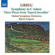 Grieg : Orchestral Music, Vol. 3. Symphony In C Minor. Old Norwegian Romance With Variations cover image cdn