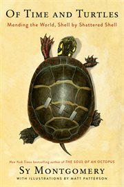 Of Time and Turtles : Mending the World, Shell by Shattered Shell cover image cdn