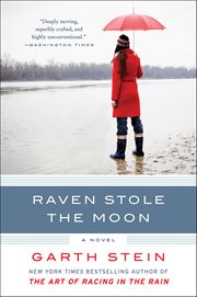 Raven Stole the Moon : A Novel cover image cdn