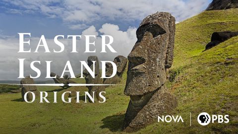 Easter Island Origins cover image cdn