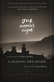 One moonlit night [electronic resource] cover image