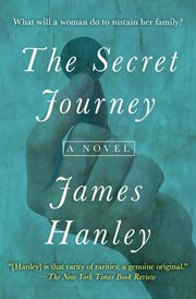 The secret journey cover image cdn