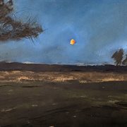 Moon Dancer cover image cdn