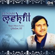 Punjabi Mehfil cover image