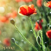 Spring cover image cdn