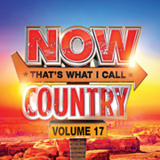 NOW that's what I call country. Volume 17 cover image cdn