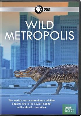 Wild metropolis cover image cdn