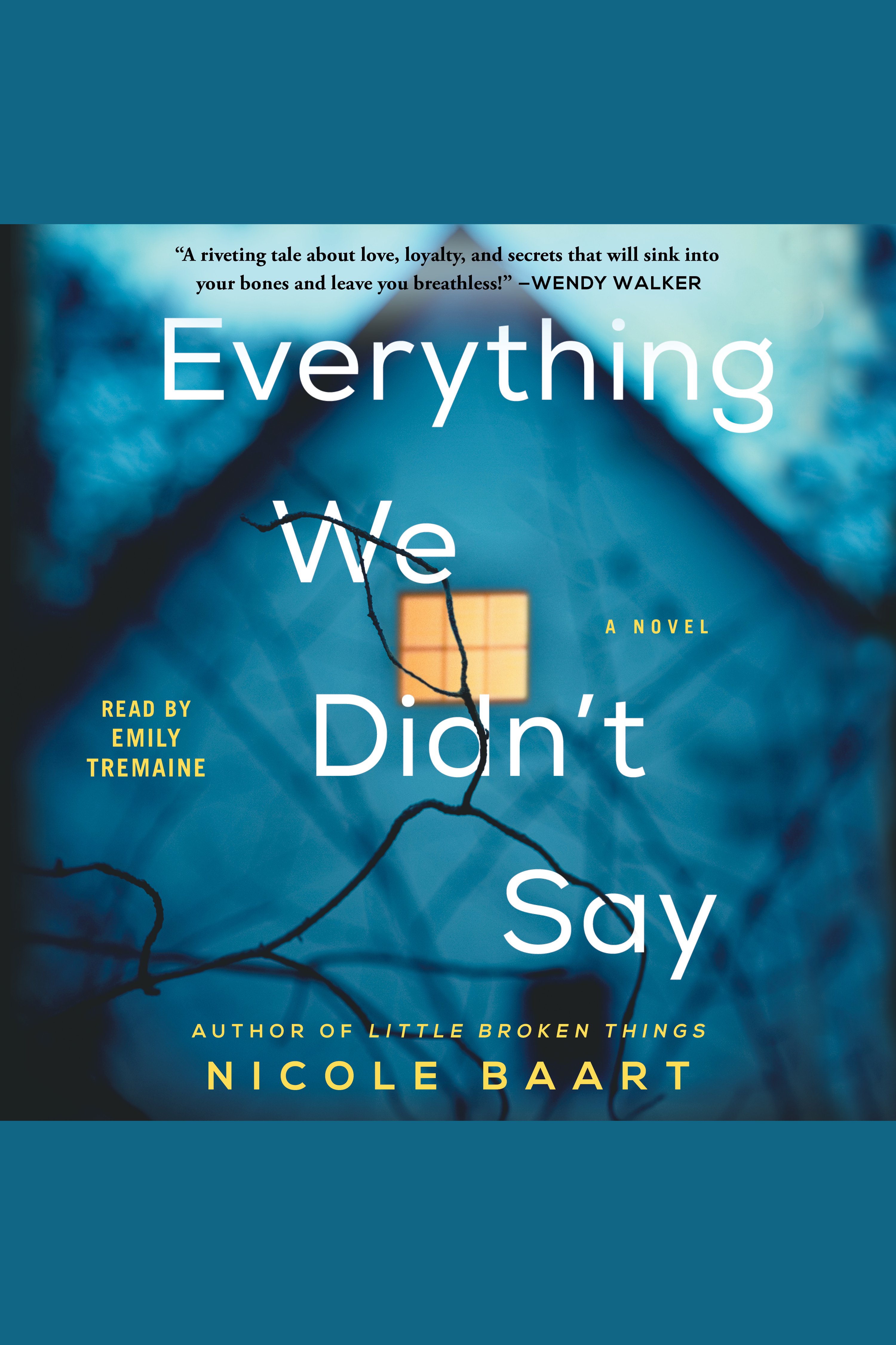Everything We Didn't Say cover image cdn
