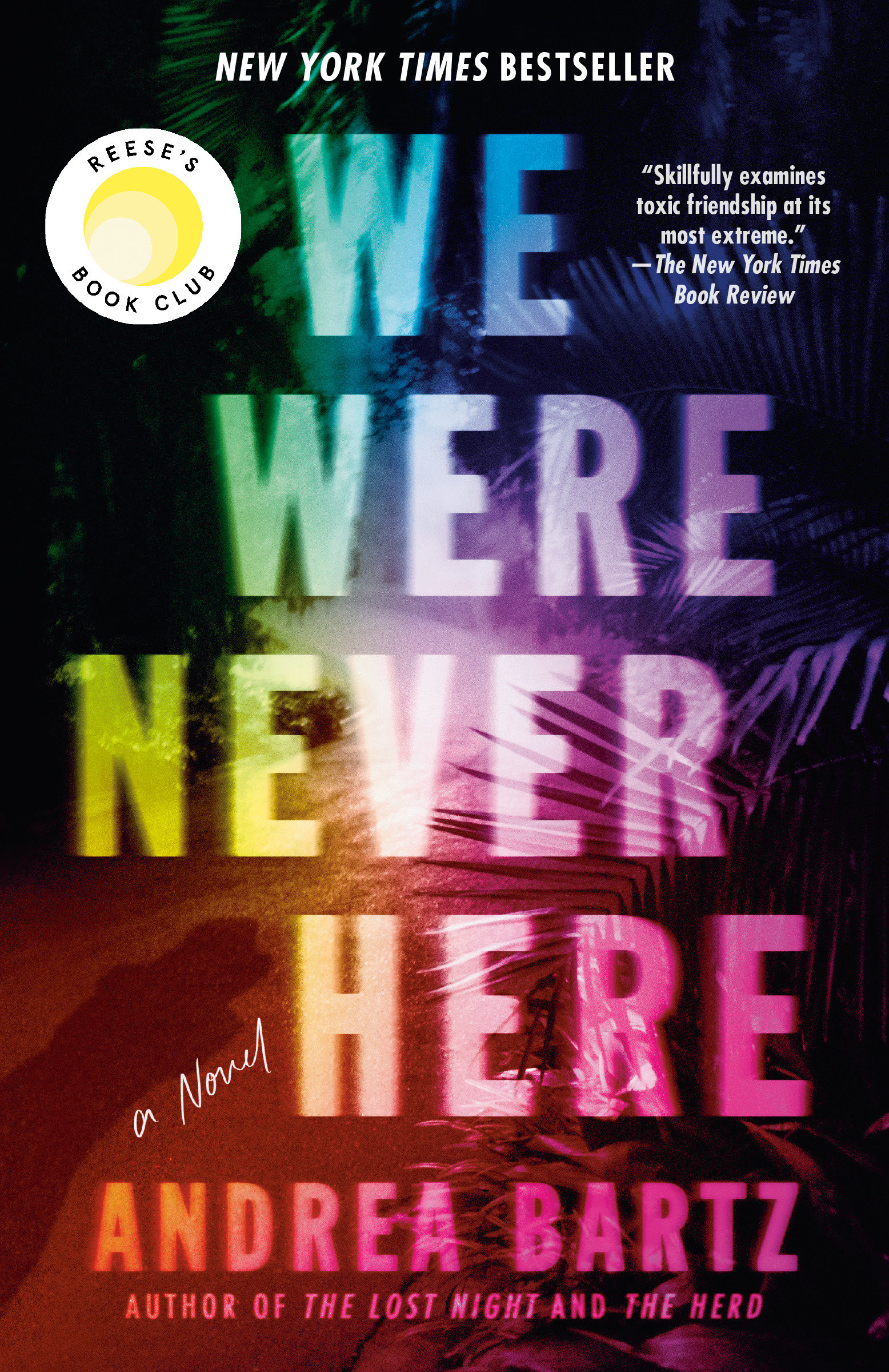 We Were Never Here A Novel cover image