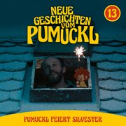 13 : Pumuckl feiert Silvester [Neue Geschichten vom Pumuckl] cover image